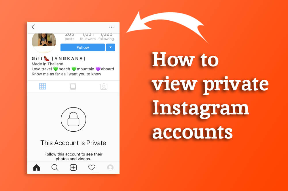 view private instagram accounts online